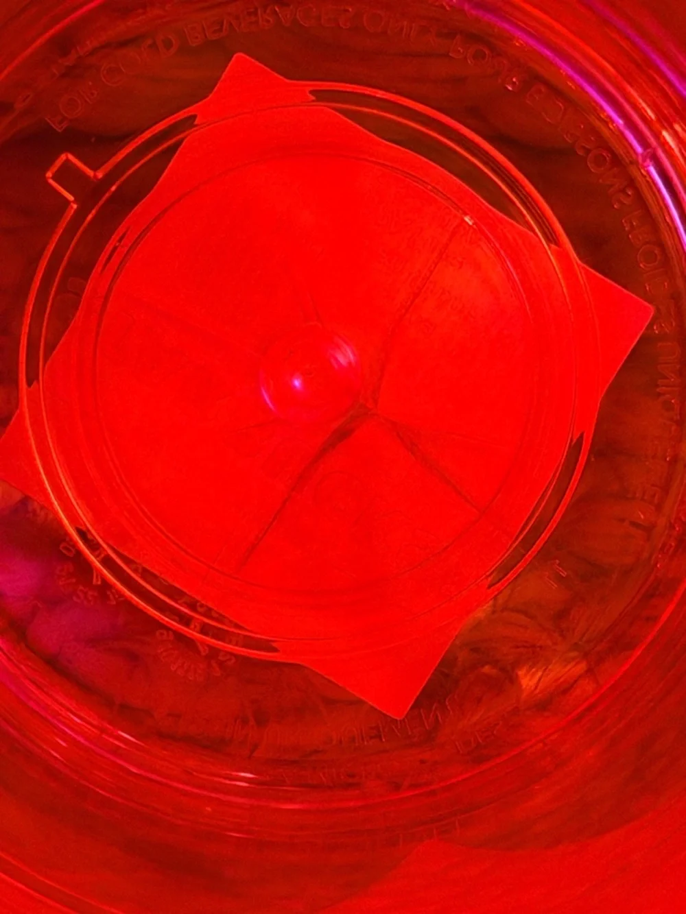 Starbucks Hot Pink with Orange interior Studded Tumbler